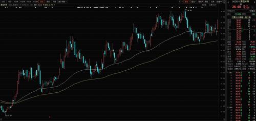 新锐国产黑马视频,新锐力量引领潮流